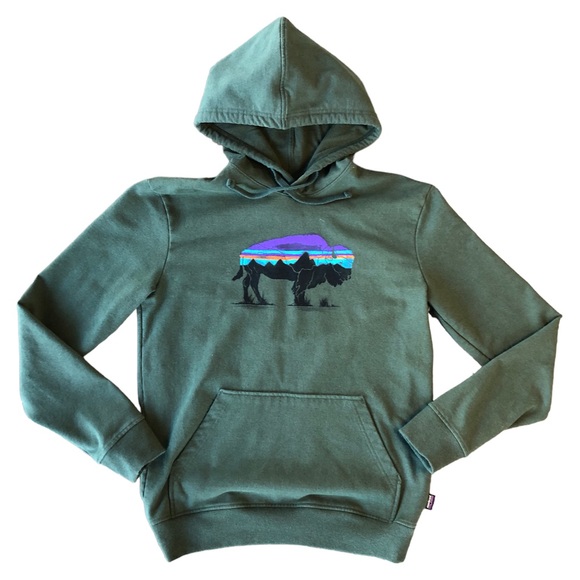 Patagonia Other - Patagonia Mens Green Buffalo Uprisal Hoody, Size S